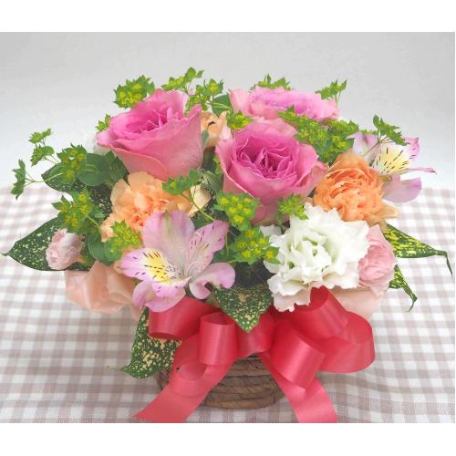 ���s���N�o���̃A�����W���a�����E�����L�O���E����E���ʂɂ��E�E���s���{��悩�炨�͂����܂��B3
