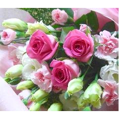 ���D�����s���N�u�[�P����j�����E���l�̓��E����E�����L�O���E�a�����E���ʁE����ȂǂɁE�E���s���{��悩�炨�͂����܂��B