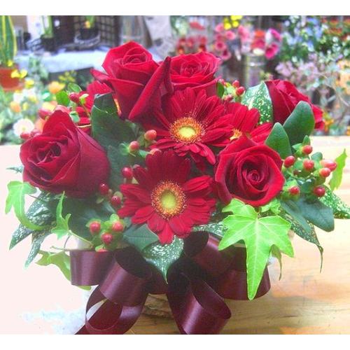 ���^���ԂȃA�����W���a�����E�����L�O���E�җ�ȂǂɁE�E�E���s���{��悩�炨�͂����܂��B2
