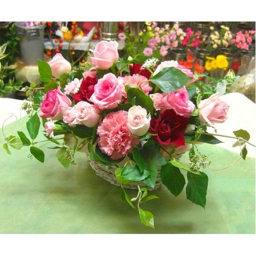 ���s���N�E�ԃo���̃��}���e�B�b�N�ȃA�����W���a�����E���l�̓��E�����L�O���E����ɁE�E�E���s���{��悩�炨�͂����܂��B