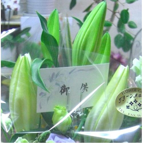 ���䋟���A�����W�E�p�X�e���n�E�m�ԁ��@���E������݁E���ފ݁E�����E�ʖ�E���ʎ��E�l�\����E������E���~�̖@�v�E���O�ɁA���s���{��悩�炨�͂����܂��B3