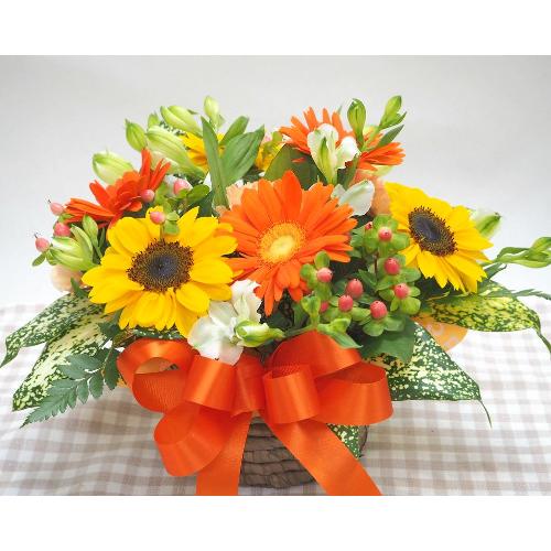 �����C�����ς��Ђ܂��A�����W���r�^�~���J���[�̃A�����W���E�a�����E����E���ʂȂǂɁE�E�E���s���{��悩�炨�͂����܂��B2