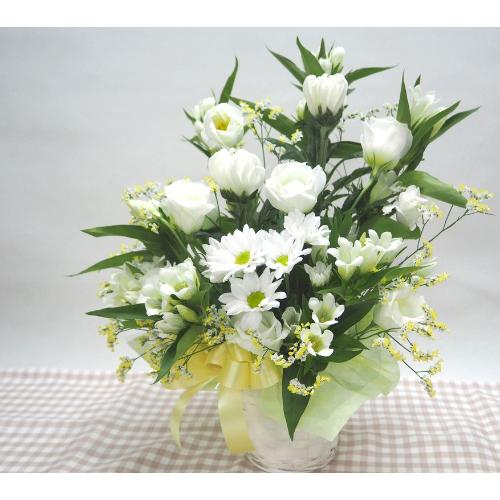 �����e����ꂽ���n�A�����W���S����̌���݁A�����Ă���ꂪ�ł܂���悤�ɁE�E�E���s���{��悩�炨�͂����܂��B2