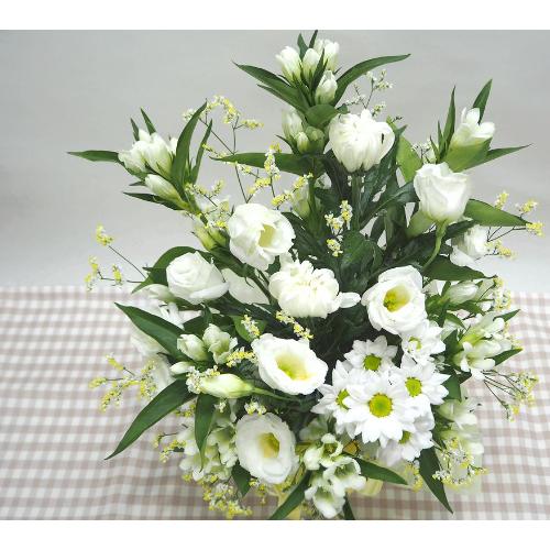 �����e����ꂽ���n�A�����W���S����̌���݁A�����Ă���ꂪ�ł܂���悤�ɁE�E�E���s���{��悩�炨�͂����܂��B3