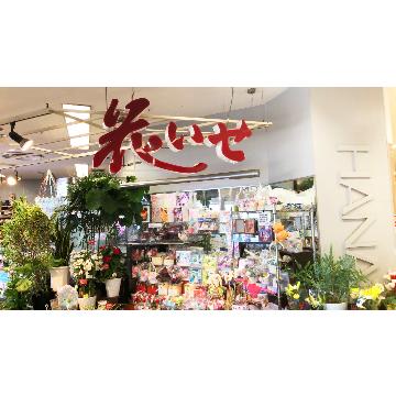 �X�܊O�ω摜