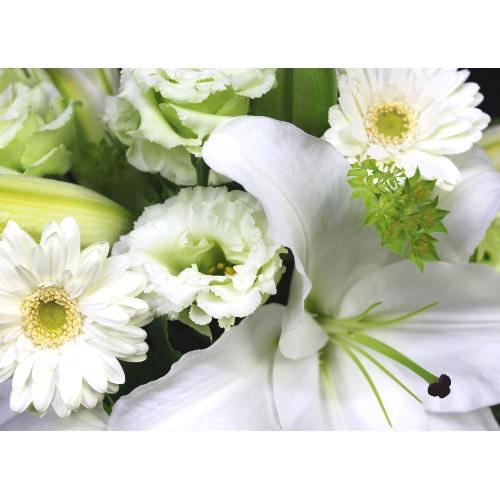 ���炩�Ȕ��������u�������A�������[�v�z���C�gR05ARW3