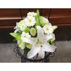 ���炩�Ȕ��������u�������A�������[�v�z���C�gR05ARW