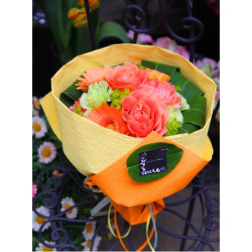 ���ʂɖ��邢�K�N�𑡂�u�I�����W���[�Y�E�u�[�PM�v4