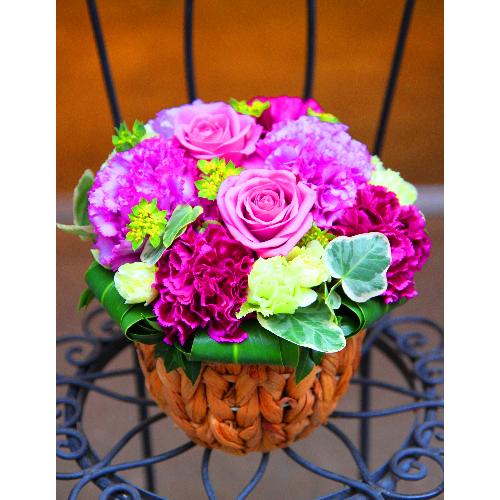 ����ς��K�N�I�yLe Rose(�� ���[�[�jM �p�[�v��2