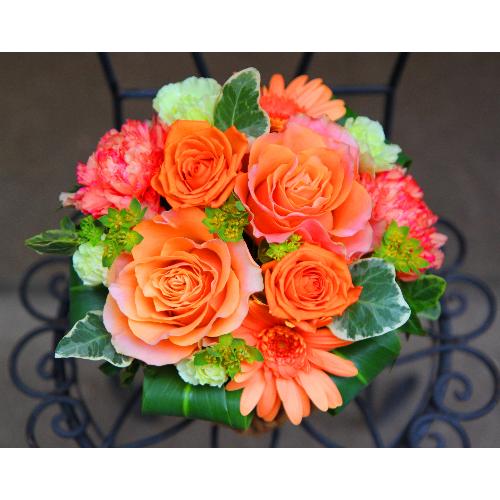 ����ς��K�N�I�yLe Rose(�� ���[�[�jM �I�����W�z