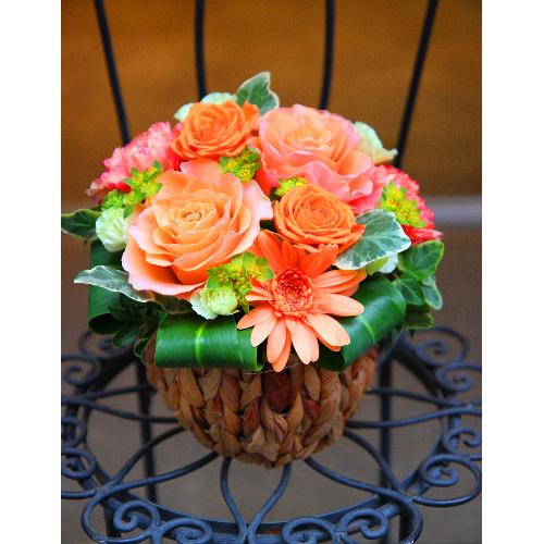 ����ς��K�N�I�yLe Rose(�� ���[�[�jM �I�����W�z3