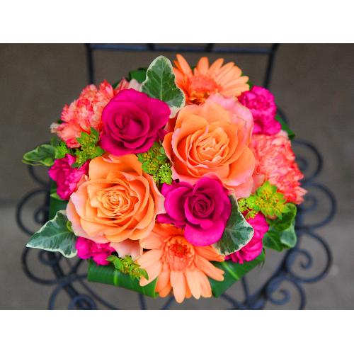 ����ς��K�N�I�yLe Rose(�� ���[�[�jM �r�r�b�h�z