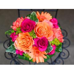 ����ς��K�N�I�yLe Rose(�� ���[�[�jM �r�r�b�h�z