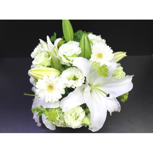 ���炩�Ȕ��������u�������A�������[�v�z���C�gR05ARW4