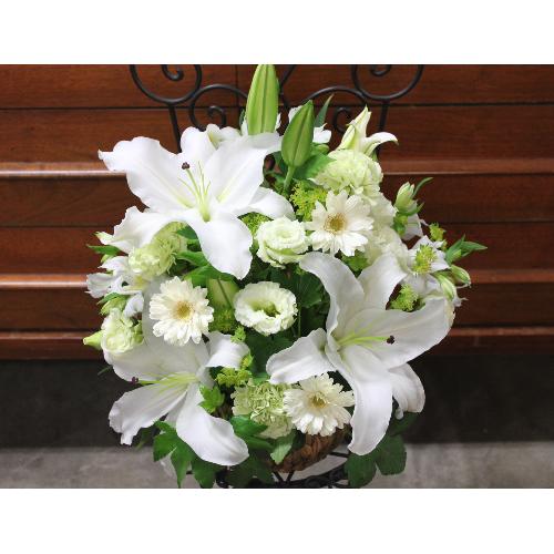 ���炩�Ȕ��������u�������A�������[�v�z���C�gR08ARW3