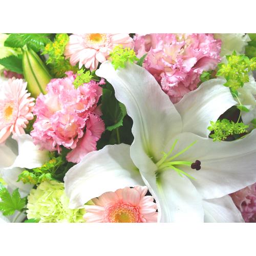 ���炩�Ȕ��������u�������A�������[�v�s���NR08ARP2