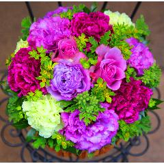 �G���K���g�Ȏ��̃o���I�u�p�[�v�����[�Y�A�����W�����g�vM