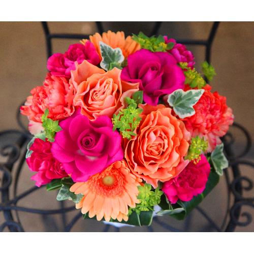 ���̓��yLe Rose(�� ���[�[�jM �r�r�b�h�z