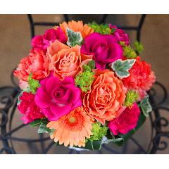 ���̓��yLe Rose(�� ���[�[�jM �r�r�b�h�z