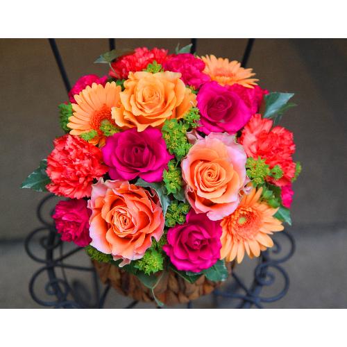 ���̓��yLe Rose(�� ���[�[�jL �r�r�b�h�z