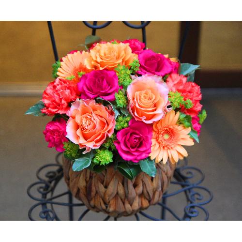 ����ς�o���I�yLe Rose(�� ���[�[�j�k �r�r�b�h�z3