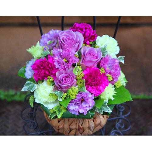 ����ς�o���I�yLe Rose(�� ���[�[�j�k�@�p�[�v���z4