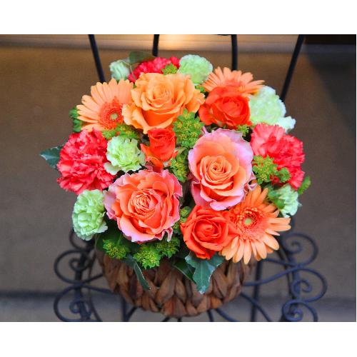 ����ς�o���I�yLe Rose(�� ���[�[�j�k �I�����W�z