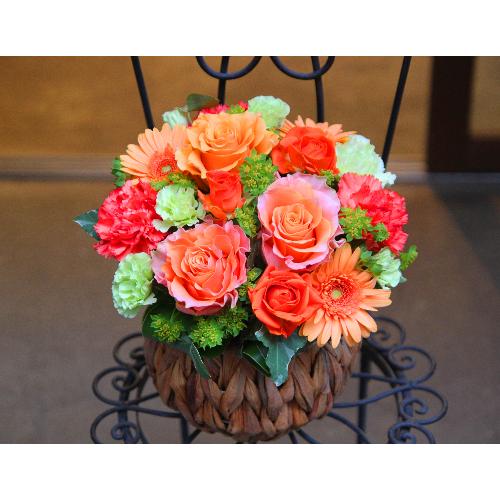 ����ς�o���I�yLe Rose(�� ���[�[�j�k �I�����W�z3
