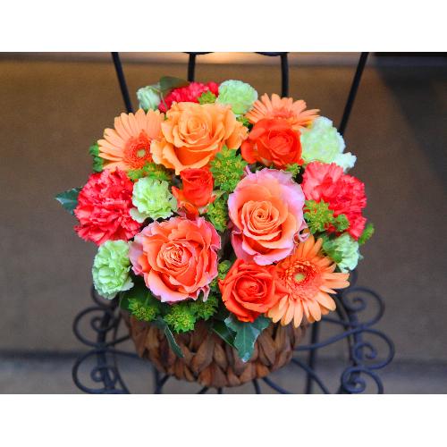 ����ς�o���I�yLe Rose(�� ���[�[�j�k �I�����W�z4