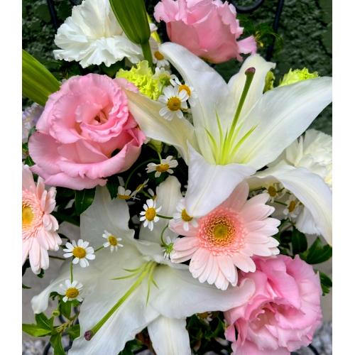 ���炩�Ȕ��������u�������A�������[�v�s���NR06ARP2