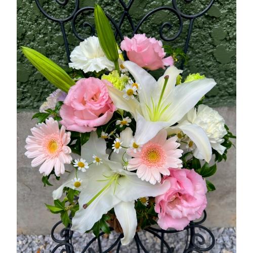 ���炩�Ȕ��������u�������A�������[�v�s���NR06ARP3