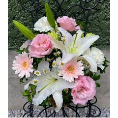 ���炩�Ȕ��������u�������A�������[�v�s���NR06ARP