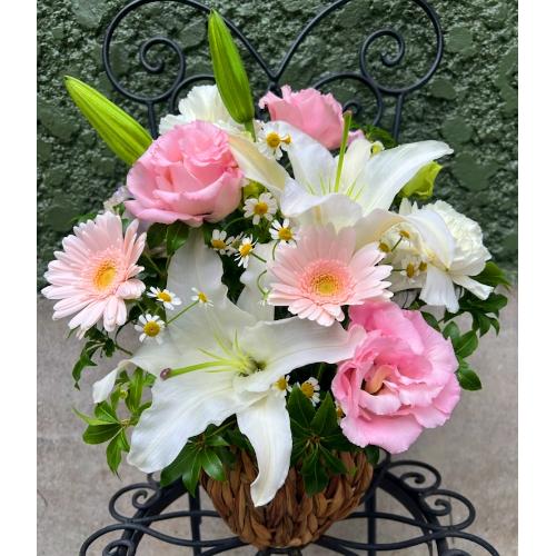 ���炩�Ȕ��������u�������A�������[�v�s���NR06ARP2