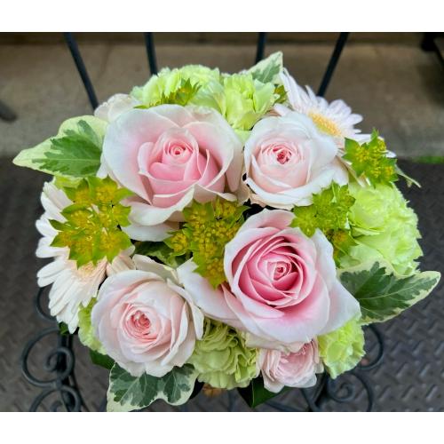 �G���K���g�Ȏ��̃o���I�u�p�[�v�����[�Y�A�����W�����g�vM1