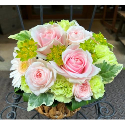 �G���K���g�Ȏ��̃o���I�u�p�[�v�����[�Y�A�����W�����g�vM2