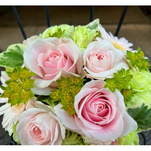 �G���K���g�Ȏ��̃o���I�u�p�[�v�����[�Y�A�����W�����g�vM4