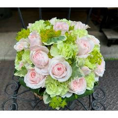 ����ς��K�N�I�y���[�Y�{�[�� M �p�X�e���z