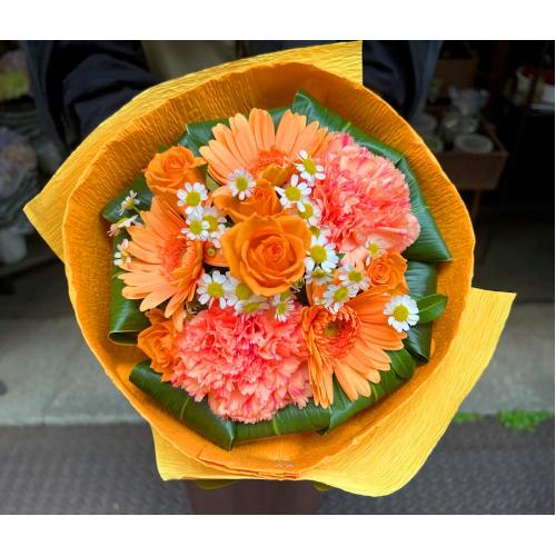 ��o�ɁA���ӂ����߂āu���ʗp�I�����W�u�[�P S�v