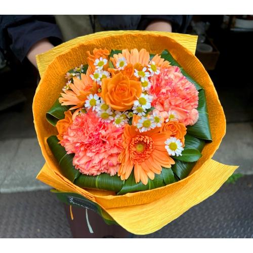 ��o�ɁA���ӂ����߂āu���ʗp�I�����W�u�[�P S�v3