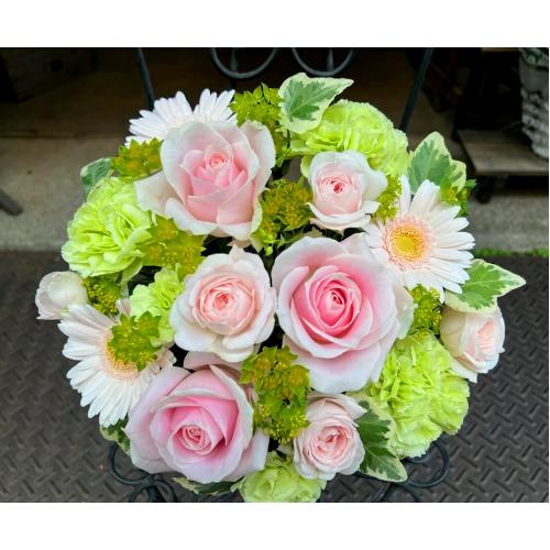 ����ς��K�N�I�yLe Rose(�� ���[�[�j�k �p�X�e���z6