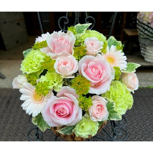����ς��K�N�I�yLe Rose(�� ���[�[�j�k �p�X�e���z3
