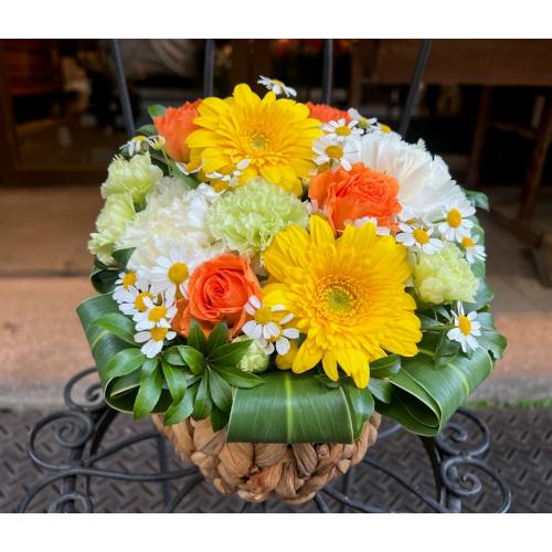 �y�b�g�̂����݁u�������A���v�z���C�g�E�C�G���[S