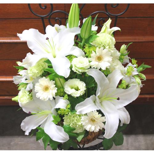 ���炩�Ȕ��������u�������A�������[�v�z���C�gR08ARW