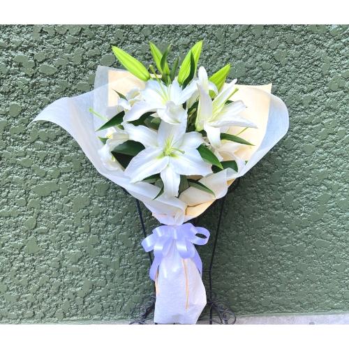 ���炩�Ȕ��������u�������A�������[�u�[�P�vR4B5