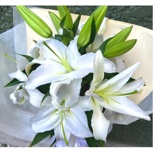 ���炩�Ȕ��������u�������A�������[�u�[�P�vR4B3