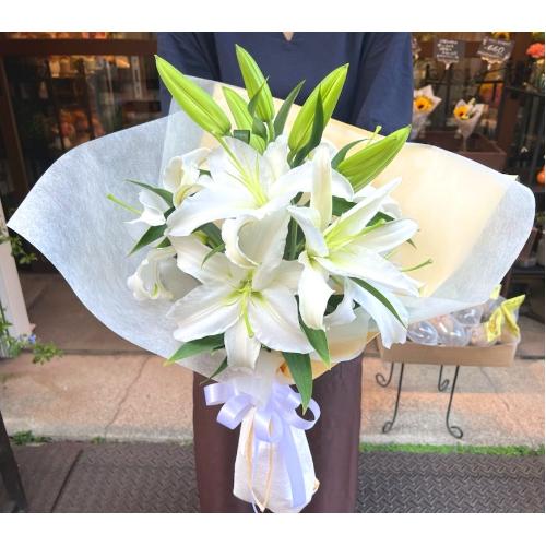 ���炩�Ȕ��������u�������A�������[�u�[�P�vR4B5