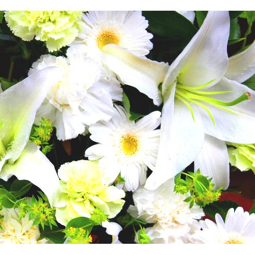 ���炩�Ȕ��������u�������A�������[�v�z���C�gR15ARW3