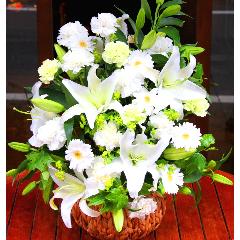 ���~�E�V�~�p�@���炩�Ȕ��������u�������A�������[�v�z���C�gR10ARW