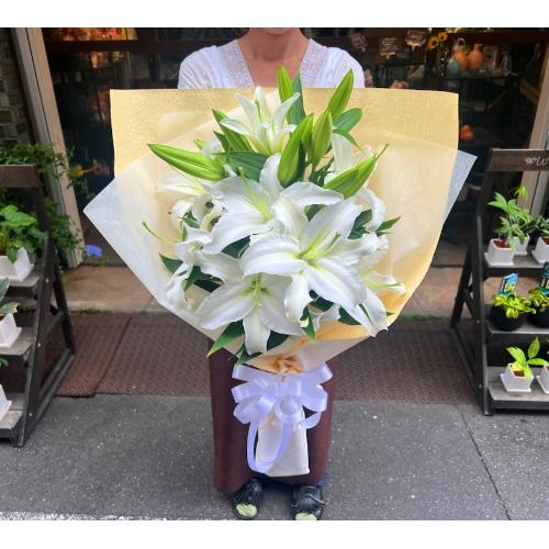 ���炩�Ȕ��������u�������A�������[�v�z���C�gR15ARW2