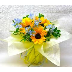 ���̂܂܏����ԑ��X�^���f�B���O�u�[�P�E�Ђ܂��